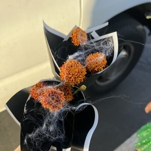 Photo of Eddie's Flower