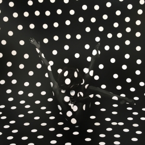 Santa Monica Revolver Gallery