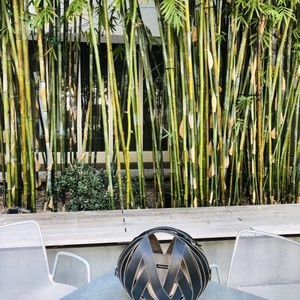 Los Angeles Hammer Museum