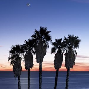 Photo of Pacific Coast Gallery