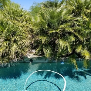 Photo of Golden Bear Pool Service