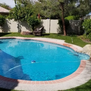 Photo of Golden Bear Pool Service