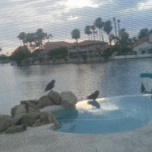 Photo of Above All Pool Care, LLC