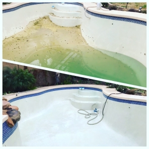 Photo of Sun State Pools