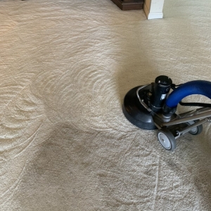 Phoenix Momentum Carpet Care