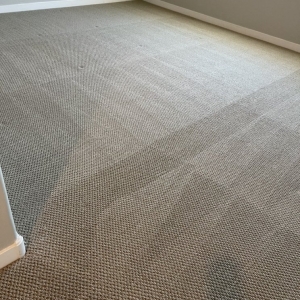 Photo of BEST Carpet & Upholstery Cleaning