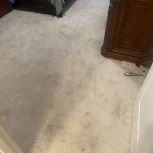 Photo of A Spotless House Carpet and Tile Cleaning