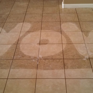 Photo of A Spotless House Carpet and Tile Cleaning
