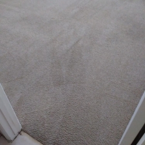 Photo of Carpet Star Carpet Cleaning
