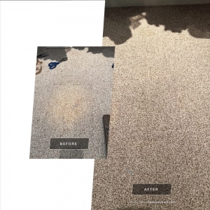 Photo of Phoenix Carpet Repair & Cleaning