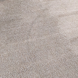 Photo of Specialty Carpet Care