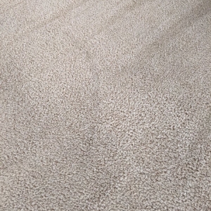 Photo of Specialty Carpet Care