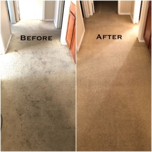 Photo of Benocular Floor Cleaning Services
