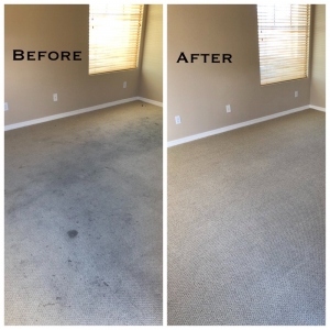 Photo of Benocular Floor Cleaning Services