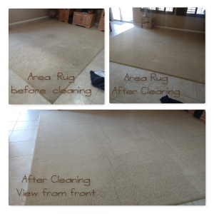 Photo of Golden Rule Carpet Care