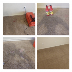 Photo of Golden Rule Carpet Care