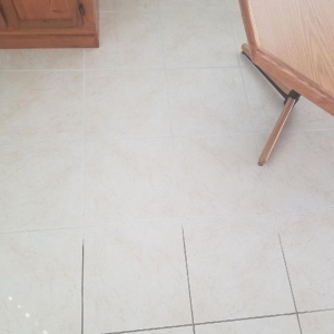 Photo of Dave Roling Maricopa Carpet Cleaning Service