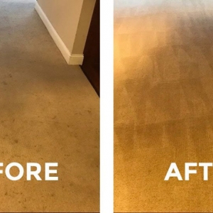 Photo of Dave Roling Maricopa Carpet Cleaning Service