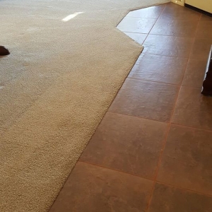 Photo of Dave Roling Maricopa Carpet Cleaning Service