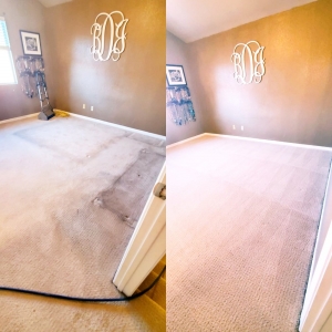 Photo of Miramar Carpet & Upholstery Care