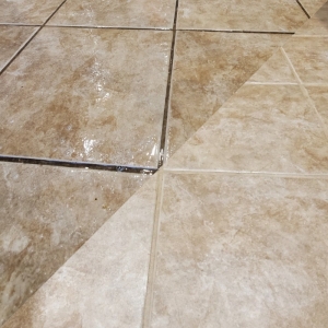 Photo of Miramar Carpet & Upholstery Care