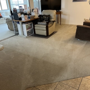 Photo of Miramar Carpet & Upholstery Care