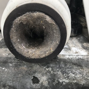 Photo of Clearly Clean Carpet