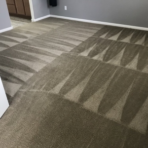 Photo of Clearly Clean Carpet