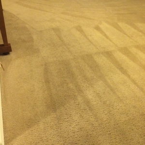 Photo of Clearly Clean Carpet