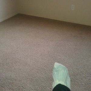 Photo of Ames Carpet & Tile Cleaning
