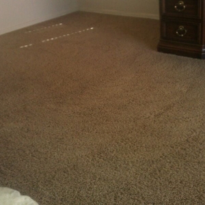 Photo of Ames Carpet & Tile Cleaning