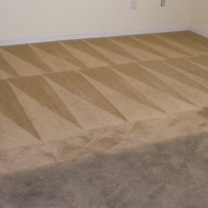 Photo of Max's Carpet and Tile Cleaning