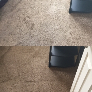Photo of Max's Carpet and Tile Cleaning