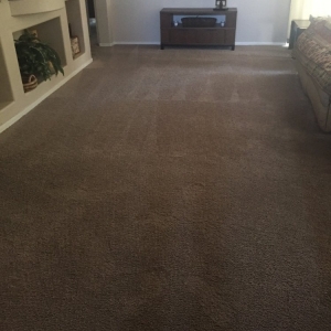 Photo of Green Planet Carpet Care