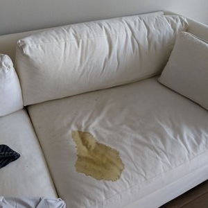 Photo of McFarland's Carpet Service