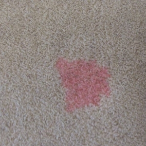 Photo of Integrity Cleaning Systems