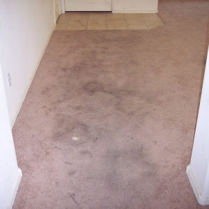 Photo of Integrity Cleaning Systems