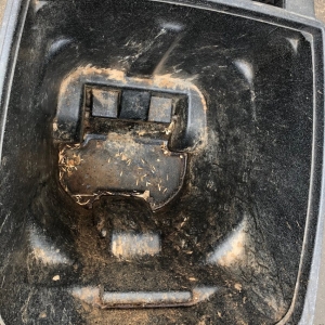 Photo of Happy Cans