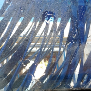 Photo of Fast & Friendly Express Car Wash