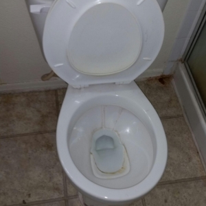Photo of Jessica's Cleaning Service