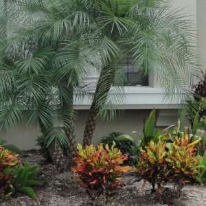 Photo of VBSI Accounting and Tax Services