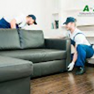 Phoenix North Phoenix Moving Company