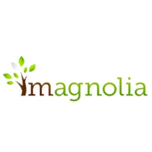 Photo of Magnolia Payday Loans