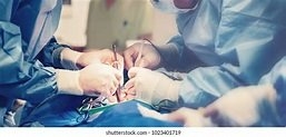 Photo of RosaMae Medical Billing