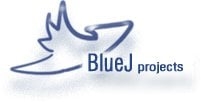 Photo of BlueJ Projects Web Design