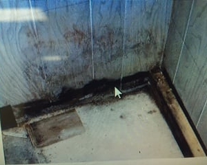Photo of All Aspects Waterproofing