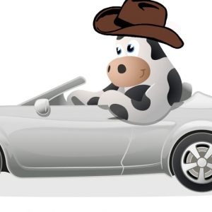 Photo of Moo Loans
