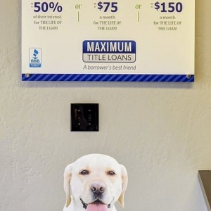 Photo of Maximum Title Loans