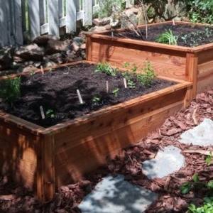 Photo of Gardenology