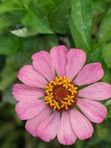 Photo of Gardenology